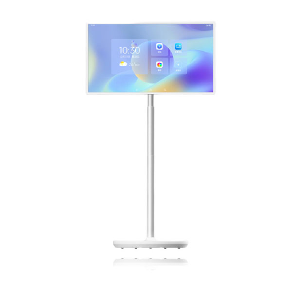 Portable Display
