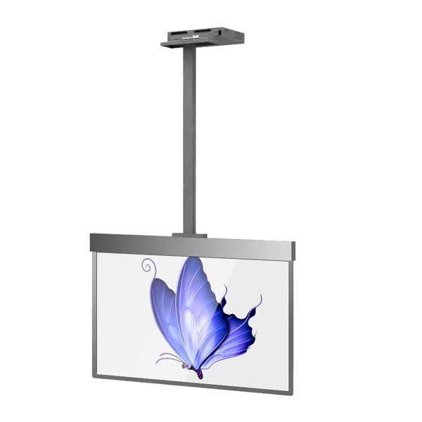 OLED Wall-Mounted Advertising Display
